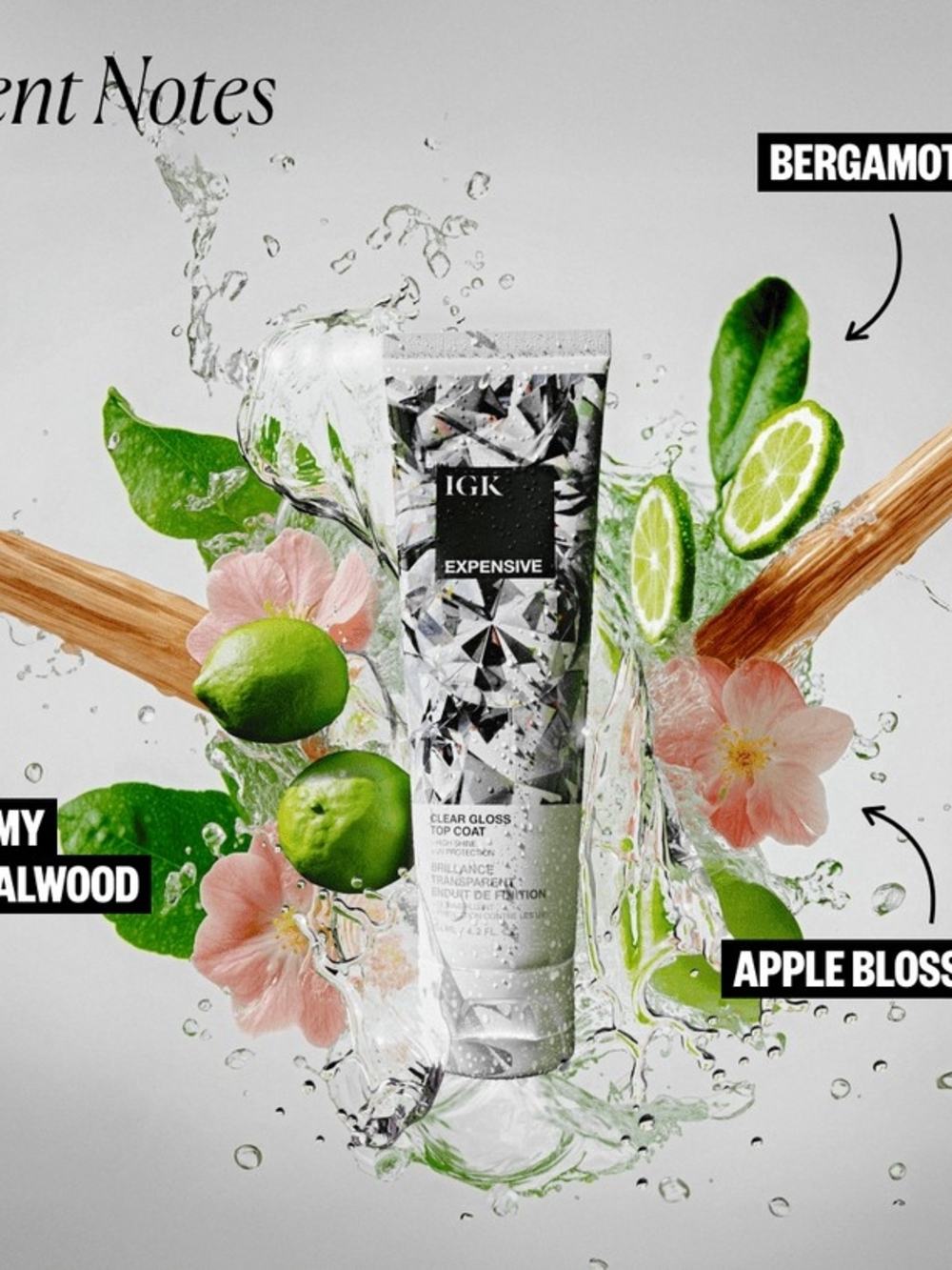 IGK(5 Pack) Expensive Clear Hair Gloss - Picture 2 of 7